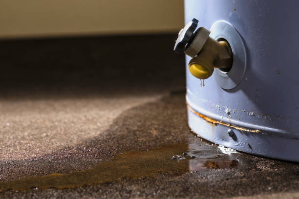 Best Basement water damage restoration  in Hueytown, AL