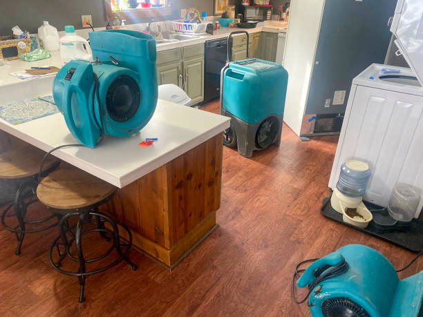 Sewage cleanup and water damage restoration in AL