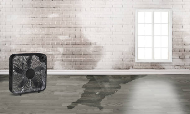 Best Professional water damage repair  in Hueytown, AL