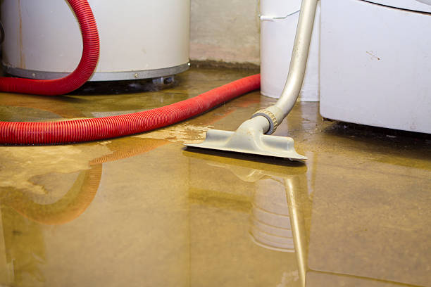 Best 24/7 water damage repair  in Hueytown, AL