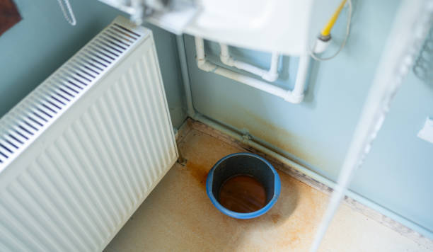 Best Mold removal after water damage  in Hueytown, AL