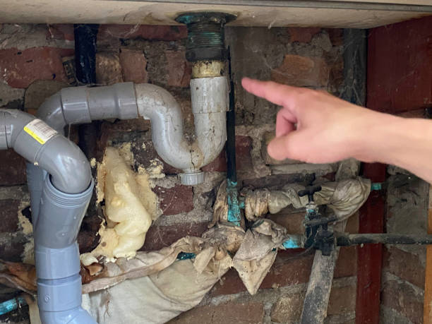 Best Carpet water damage restoration  in Hueytown, AL