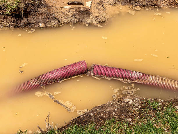 Best 24/7 water damage repair  in Hueytown, AL